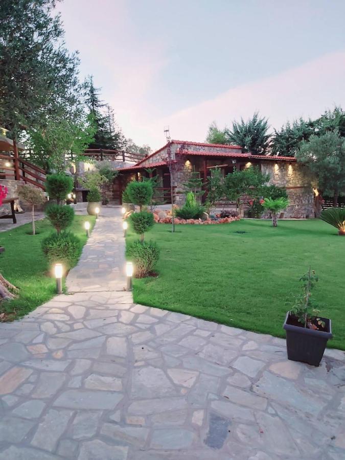 Dimitris' Villas - Villa 1 Órmosz Panajász Kültér fotó