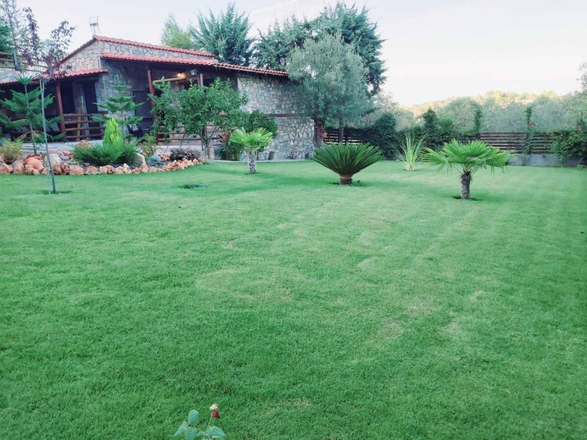 Dimitris' Villas - Villa 1 Órmosz Panajász Kültér fotó